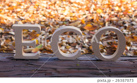 ECO  環境イメージ 秋 ECO  環境イメージ 秋 26387073