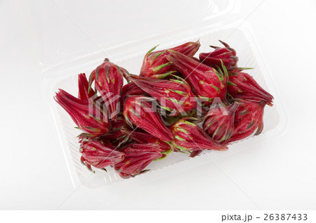 ローゼル 26387433