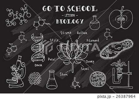 Biology. Hand sketches on the theme of biology.  26387964