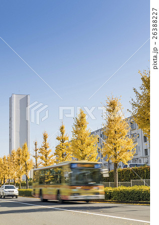 団地 紅葉 団地 紅葉 26388227