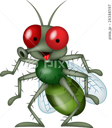 Fly cartoon Fly cartoon 26388597