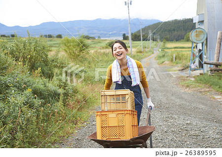 農業体験　一輪車を押す女性 26389595