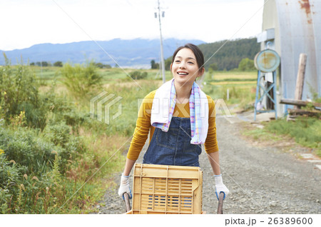 農業体験　一輪車を押す女性　ポートレート 26389600