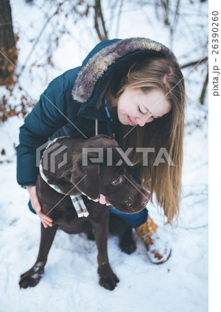 Young woman walking with labrador dog in winter Young woman walking with labrador dog in winter 26390260