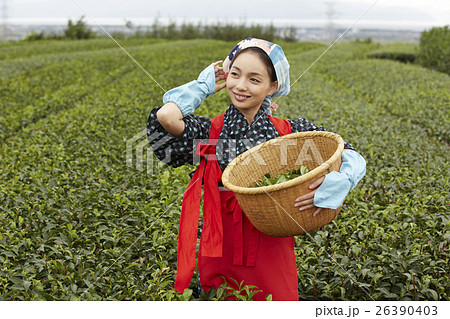 茶娘　ポートレート 26390403