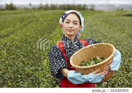 茶娘　ポートレート 26390404