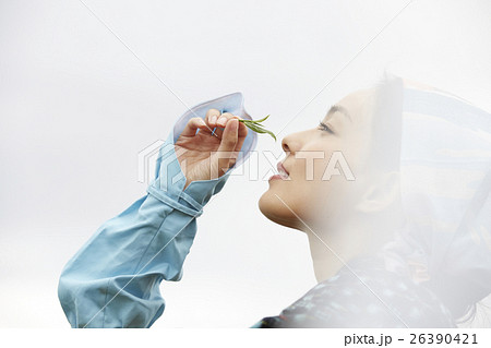 茶娘　ポートレート 26390421