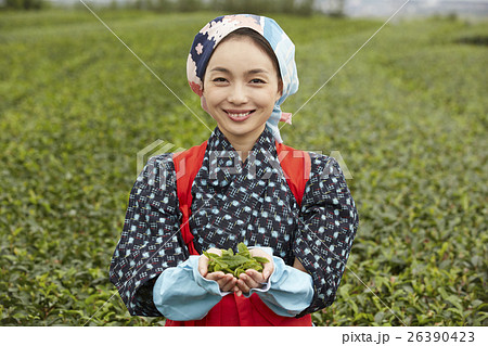 茶娘　ポートレート 26390423