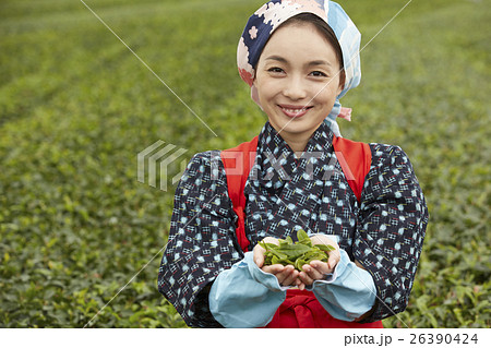 茶娘　ポートレート 26390424