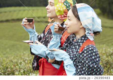 日本人と外国人の茶娘 ポートレート 日本人と外国人の茶娘 ポートレート 26390483