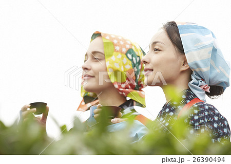日本人と外国人の茶娘 ポートレート 日本人と外国人の茶娘 ポートレート 26390494