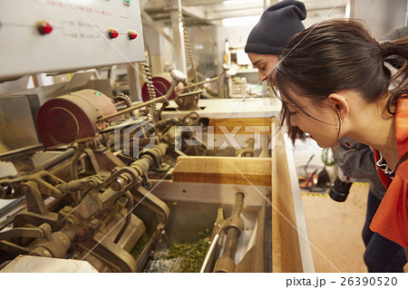 製茶工場を見学する外国人女性と日本人女性 26390520