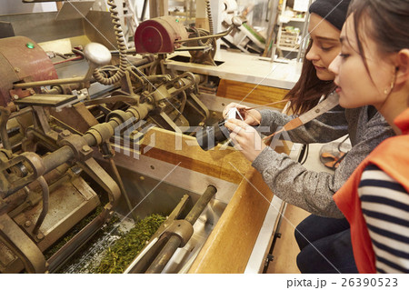 製茶工場を見学する外国人女性と日本人女性 26390523