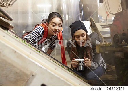 製茶工場を見学する外国人女性と日本人女性 製茶工場を見学する外国人女性と日本人女性 26390561
