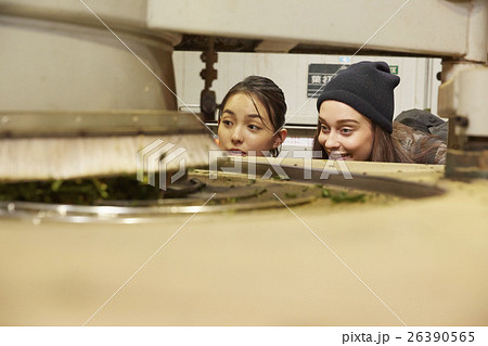 製茶工場を見学する外国人女性と日本人女性 26390565