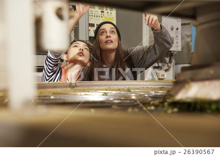 製茶工場を見学する外国人女性と日本人女性 26390567