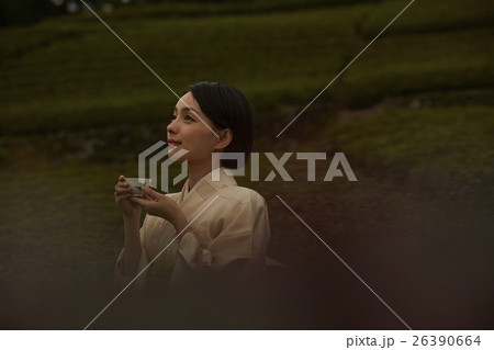 日本茶 イメージ 日本茶 イメージ 26390664