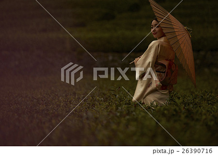 日本の茶畑と着物の女性　ポートレート 26390716