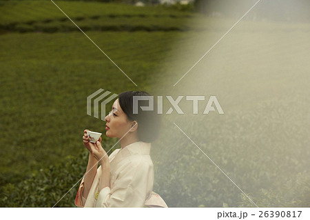 日本茶 イメージ 日本茶 イメージ 26390817