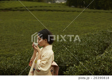 日本茶 イメージ 日本茶 イメージ 26390818