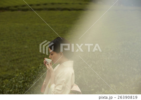日本茶　イメージ 26390819
