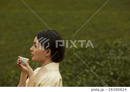 日本茶 イメージ 日本茶 イメージ 26390824