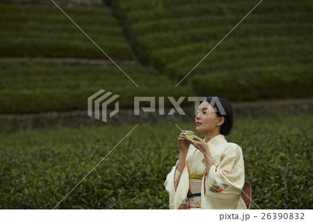 日本茶　イメージ 26390832