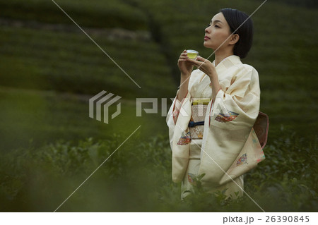 日本茶 イメージ 日本茶 イメージ 26390845