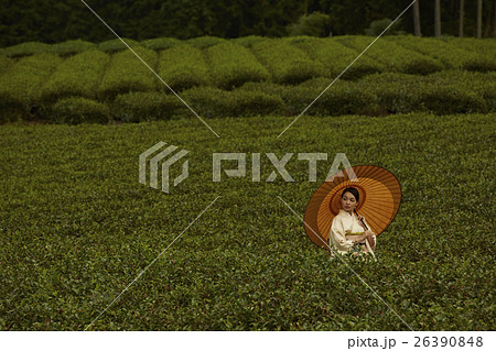 日本の茶畑と着物の女性　ポートレート 26390848