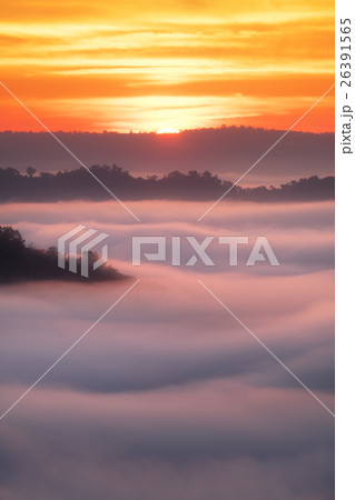 Sea of clouds in morning with sunrise Sea of clouds in morning with sunrise 26391565