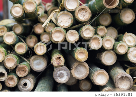 Bamboo close up Bamboo close up 26391581