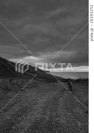 Wild Journey (36) Wild Journey (36) 26393252