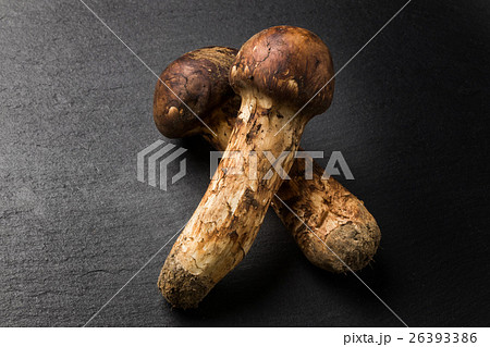 日本産最高級松茸　 Domestic matsutake mushroom  26393386