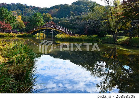晩秋の称名寺の黄葉 晩秋の称名寺の黄葉 26393508