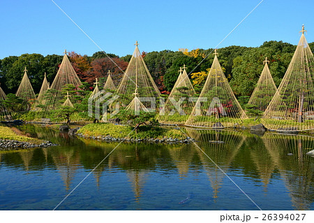 秋の白鳥庭園 26394027