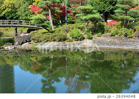 秋の白鳥庭園 26394048