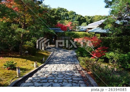秋の白鳥庭園 26394085