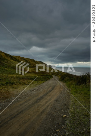 Wild Journey (40) 26395301