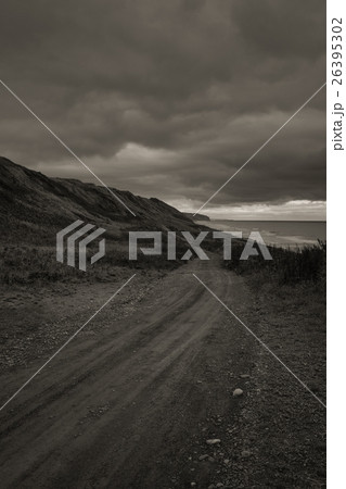 Wild Journey (41) Wild Journey (41) 26395302