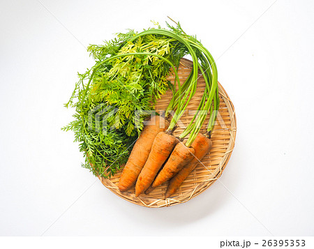 葉付きにんじん 葉付きにんじん 26395353
