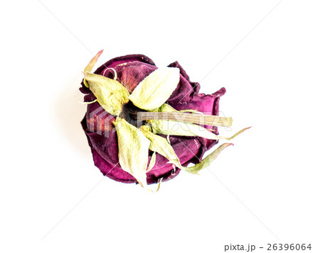 The dried rose. The dried rose. 26396064