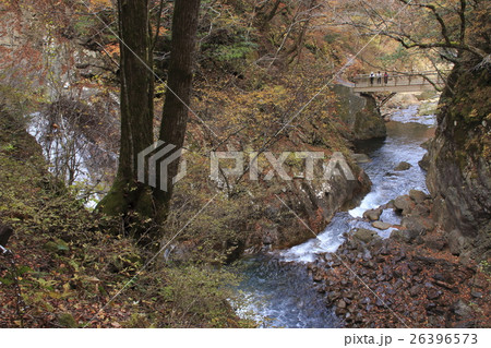 西沢渓谷（往路：七ツ釜五段の滝） 26396573