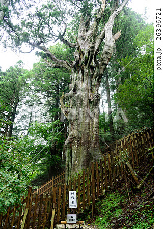 玉置神社 玉置神社 26396721