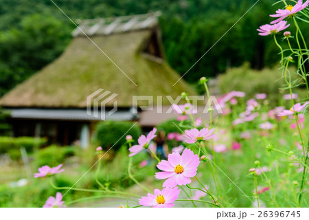 美山かやぶきの里北村 美山かやぶきの里北村 26396745