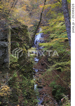 西沢渓谷（往路：なれいの滝） 26396826