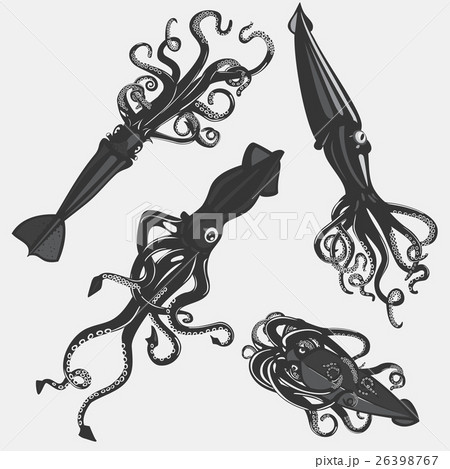 Set of squid tattoo or calamary mascot, mollusk 26398767