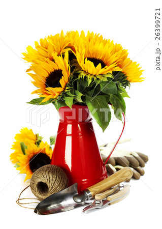 food and drink 26399721