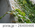 建築 構築 アーキテクチャ 26400466
