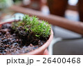 植物 工場 プランツ 26400468