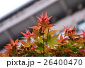 植物 工場 プランツ 26400470